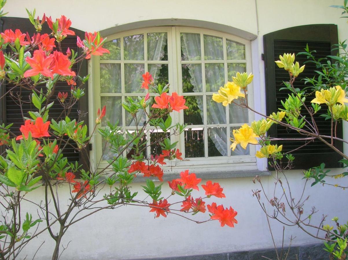 B&B Vaemenia Omegna Extérieur photo